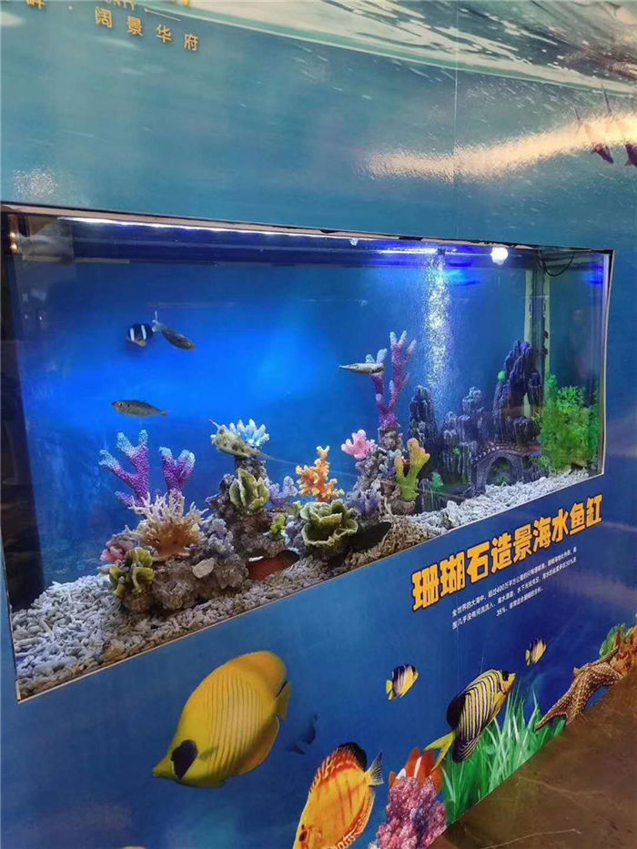 海洋生物鱼缸展览